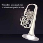 Austria Schage Rl Bb Trumpet B Flat Brass Silver Professional Trumpet With Case