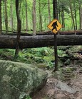 Bigfoot Crossing Xing Street Sign Road 12x12 Metal Funny Novelty Rustic Outdoor