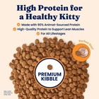 High-protein Grain-free Chicken Cat Food With Probiotics  Omega 3 - 6lb