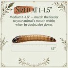 Superworms Medium 300 Count Feeder Worms