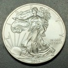 2009 Walking Liberty American Eagle  999 Fine Silver Dollar Coin 1oz   1 Usa