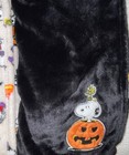 Peanuts Snoopy 2 Pk Pet Cozy Throw Blankets Halloween 44   x27    Each Appliqu   Nwt