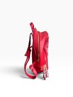 Delta Sigma Theta Red Mini Backpack With Embroidered Sorority Symbols 