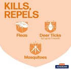 Topical Flea   Tick Prevention For Cats And Kittens 3 Monthly Treatments 3-pack
