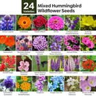 Groundio 25 000  Wildflower Seeds Mix 1 Oz  24 Varieties Wild Flowers 1 Ounce