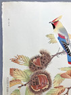 Fukuda Suiko Woodblock Print    chestnuts And Waxwings    Bird   Flower Art  Unsodo