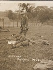 Wwi Rppc Army Officer   Men In Cow Field Photo Postcard - Glasgow