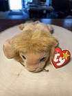 Retired    roary    Lion Ty The Beanie Babies Collection 1996 W  Tag Spelling Errors