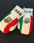 Iran Iranian Royal Country Flag Mini Boxing Gloves Ornament Brand New