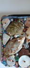 Hand Made Zipper Pouch With Real Sea Shells   Beads Used