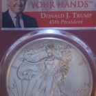 2017  first Strike Coin  Pcgs Ms70 Silver Eagle Fine 0 999