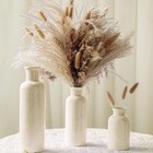 Pampas Grass With Vase Set     3 Beige White Ceramic Vases With Natural Dried 
