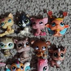 Lps Littlest Pet Shop Animal Figure Lot  Assorted Mini Pets 13 Total Pets