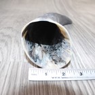 1 Raw Unfinished Cow Horn  2261   Natural Colored