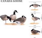 Goose Decoys Pack Of 6 new Material Eva Collapsible Plastic Goose Hunting Decoys