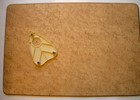 Vtg 1950s William Fuld Ouija Board Pre Parker Brothers Large W planchette - 2