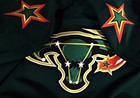 Vtg-nwt-pro-56 Blank Dallas Stars Mooterus Ccm maska Authentic Hockey Jersey