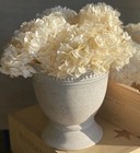 Organic Ivory-white Dried-preserved Hydrangea Large Bundle  3 Heads 