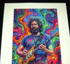 Framed Jerry Garcia 1990 Beautiful Colors Art Grateful Dead Poster 23  X 19 