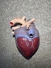Vintage Medical Anatomical Heart Model Merck 1959