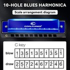 Conjurer Blues Harmonica For Kid Adult Beginner 10hole Diatonic Harmonica Key C