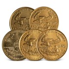 1 10 Oz American Gold Eagle Coin  random Year 