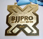 New York 2018 Bjjfpro Pan Shiny Gold Medal  Award Trophy Brand New