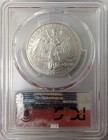 2008-w  100 Burnished Platinum American Eagle Statue Of Liberty 1 Oz Pcgs Sp70