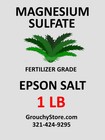 Epsom Salt  magnesium Sulfate  Fertilizer Grade - Bulk 13 99 - 58 28 Ships Free