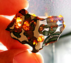 Translucent - 5 97 Gram - Borzya Pallasite Meteorite Slice - Found In Russia
