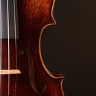 Master Tonea Guarnieri  the Cannon  1743copy T20  Violin Powerful    Antique Vr