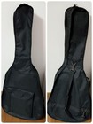 Playtech Rg-10 Resonator Guitar Dobro In Excellent Condition Operation Confirmed