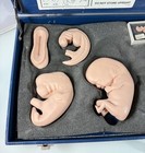 Nasco Life form Human Reproduction   Development 9pc Manikin Set Embryo To Fetus