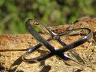 Metaphysical Voodoo Uncrossing Spell Cast Ring Everyone Needs This