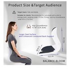Ergonomic Back Support For Office Chair Cushion With Lumbar Pillow
