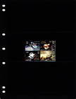  4 50 Scott Value - 2004 Maldives Fish Dragonfish Indian Ocean Cv Mnh Nh Umm