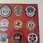 Vintage Federal Law Enforcement Patch Collection Framed