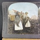 Cornish Women In Cornwall England Uk Stereoview Antique C1909 Y9437