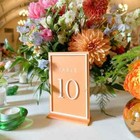 Custom Wedding Table Sign Acrylic Wedding Table Numbers Wedding Table Decor