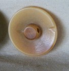Bb Monochrome Decorated Vegetable Ivory Vintage Button Island Scene Medium