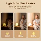 Reacher R7w Wood Grain Sunrise Alarm Clock Sound Machine Nightlight