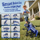 Smart Robot Dog - Interactive Stem Toys With Voice   Remote Control  30  Lifelik