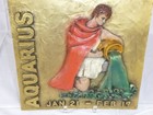 Vtg 70s Aquarius Astrology Zodiac Wall Art Plaque 10   Vista Ind Raised Design