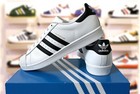  new - Adidas Originals Superstar Men s Shoes  c77124  - White black - All Sizes