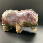 534g Ocean Jasper Hand Carved Crystal Hippopotamus Skull  Realistic  Healing