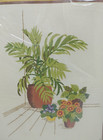 Sunset Stitchery Indoor Palm Garden  2339 Needlepoint Kit Boho Design 