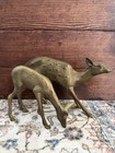 Vintage Brass Spotted Deer Figurines Pair Set Of 2 Buck   Doe 8    6   