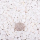 2 0 Lb White Aquarium Gravel Pebbles 3 8  Natural Decorative Aquarium
