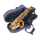Alto Saxophone Case Blue Professional Nylon With Backpack Strap Lightweight New