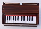 New Single Bellow 2 Octave Mini Bina Single Reeds 25 Keys Harmonium With Bag